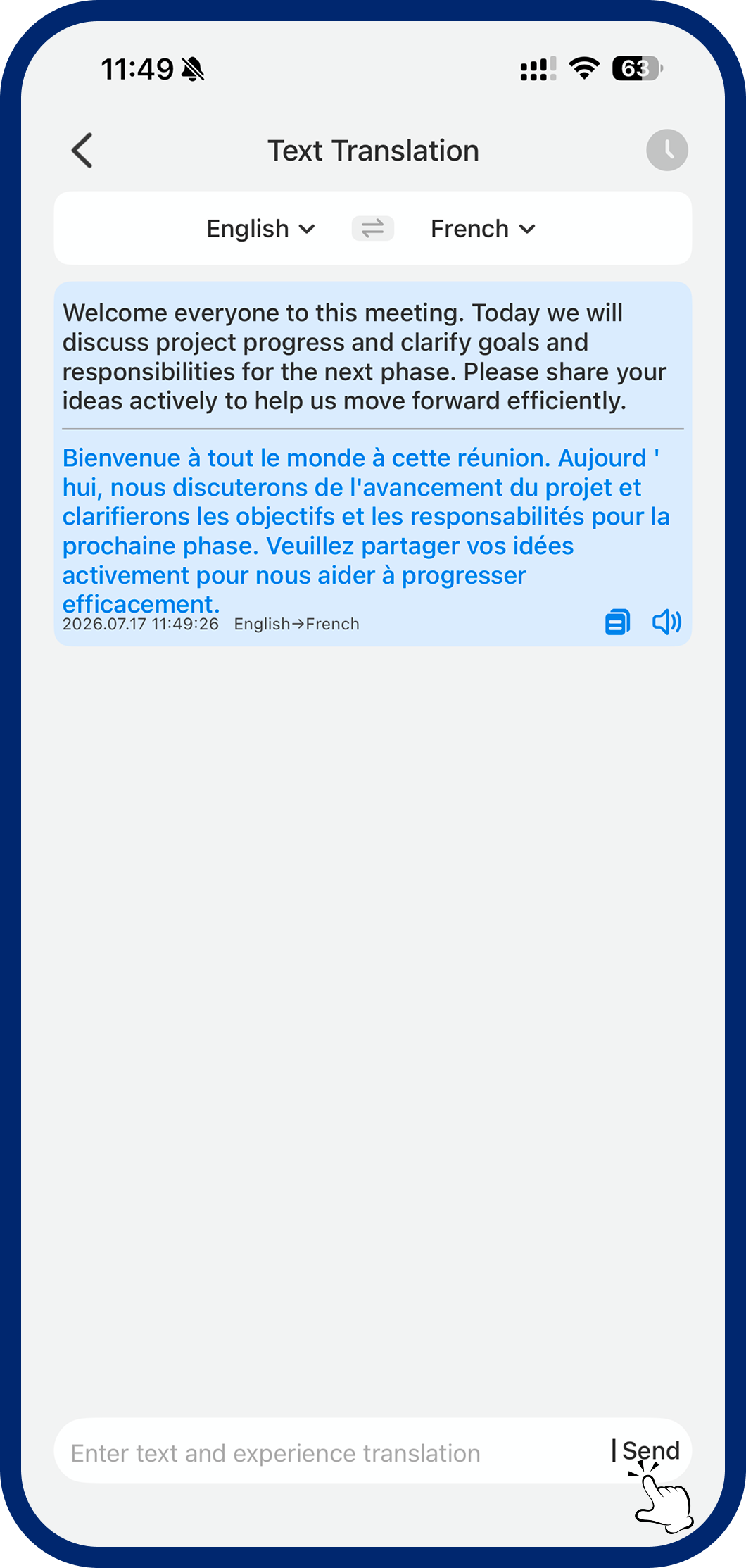 Step 4: Enter Text & Translate